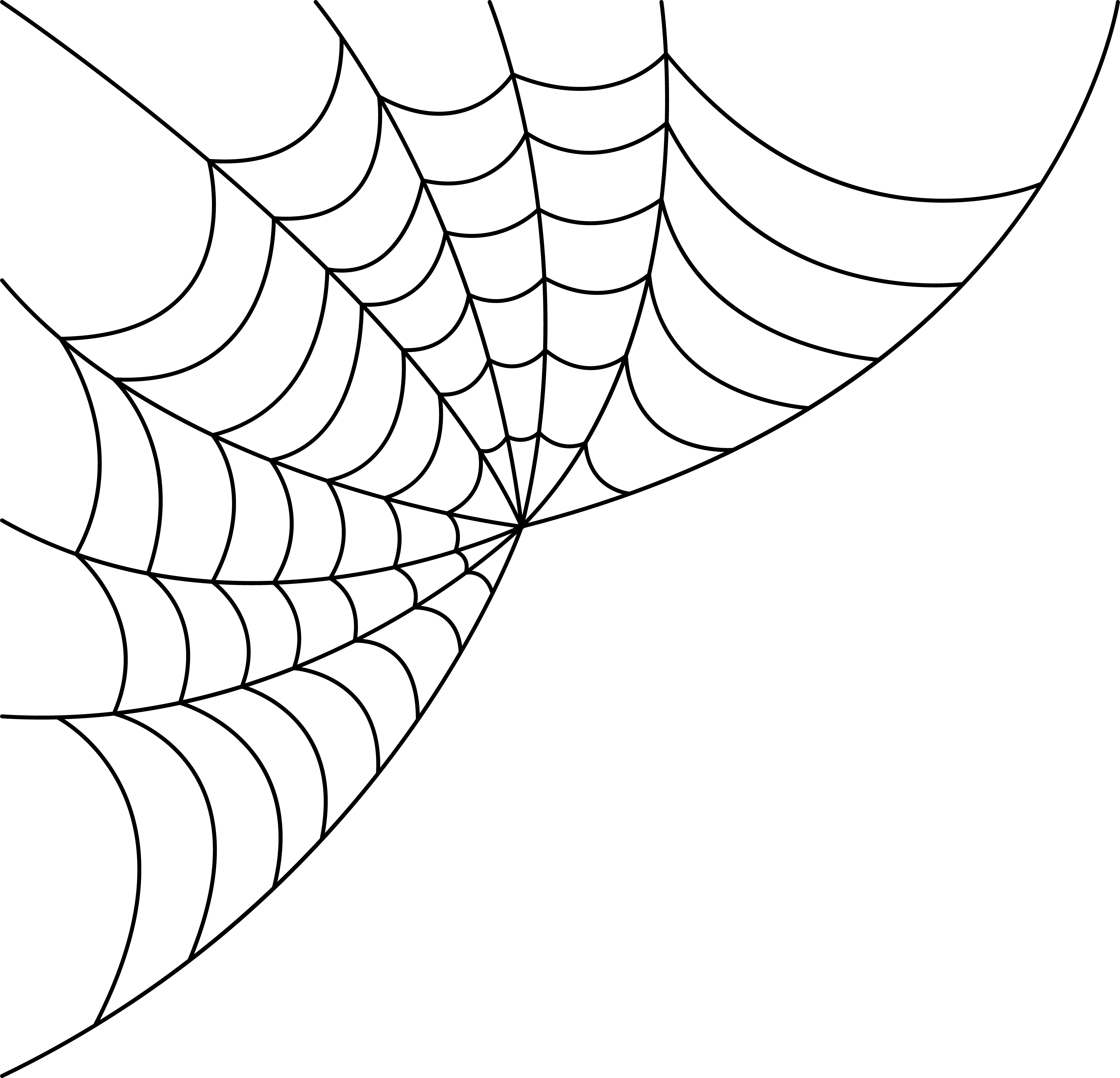 Toile d'araignée Halloween